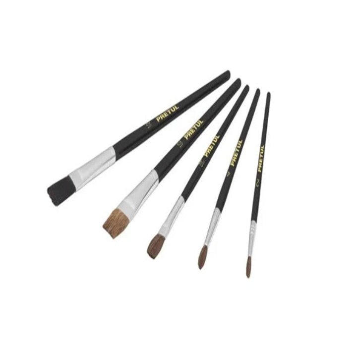 Juego De Pinceles 5 Piezas Cerdas Naturales Pretul Multiusos