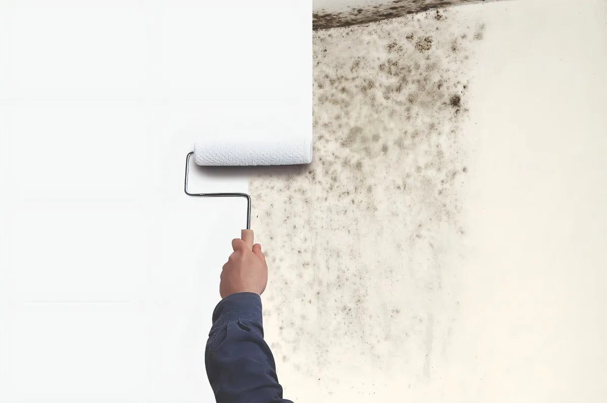 Esmalte Blanco Antihongos Primer Zinsser Mold Killing 946 Ml