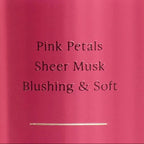 Victorias Secret Romantic Splash Fragance Mist 250 mL